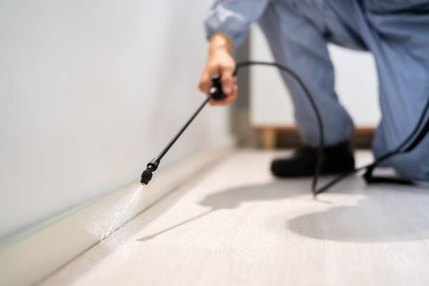 Licensed Pest Control service in Eudora, AR - Show Me Pest Control