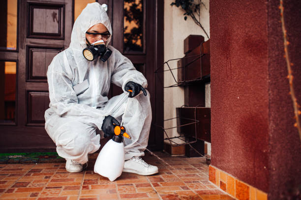 Reliable Ant Control contractor in Eudora, AR by Show Me Pest Control